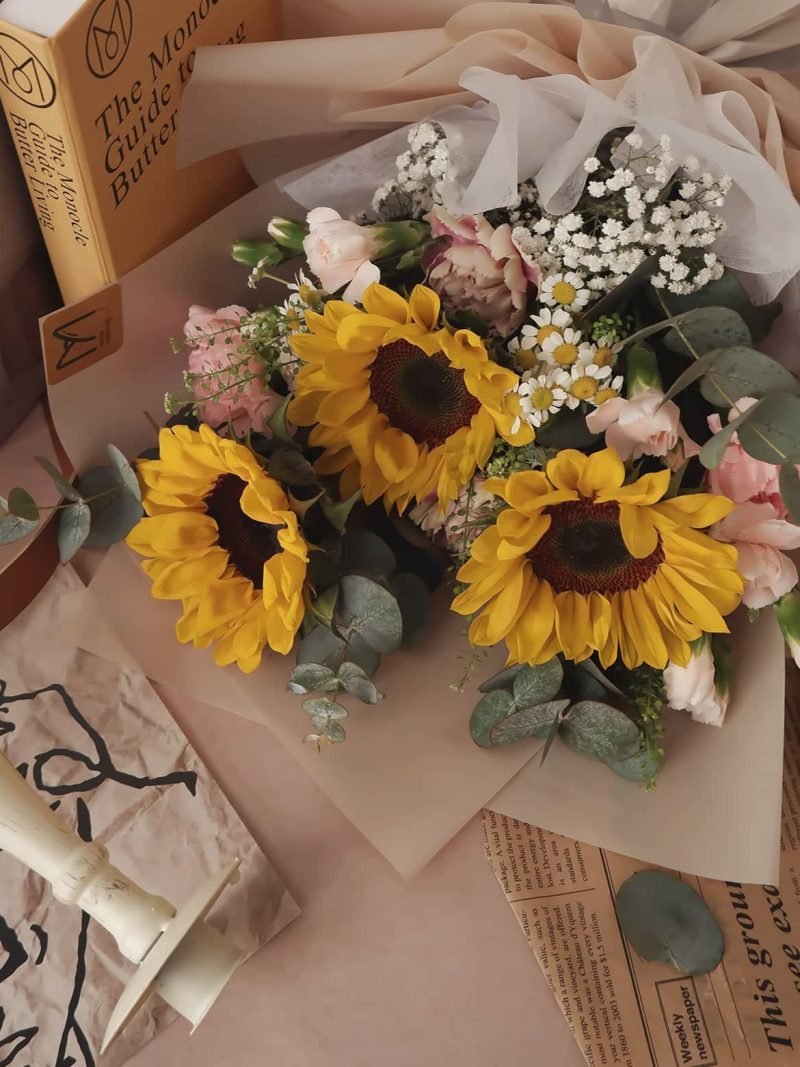 Miss Sunshine – alternate view