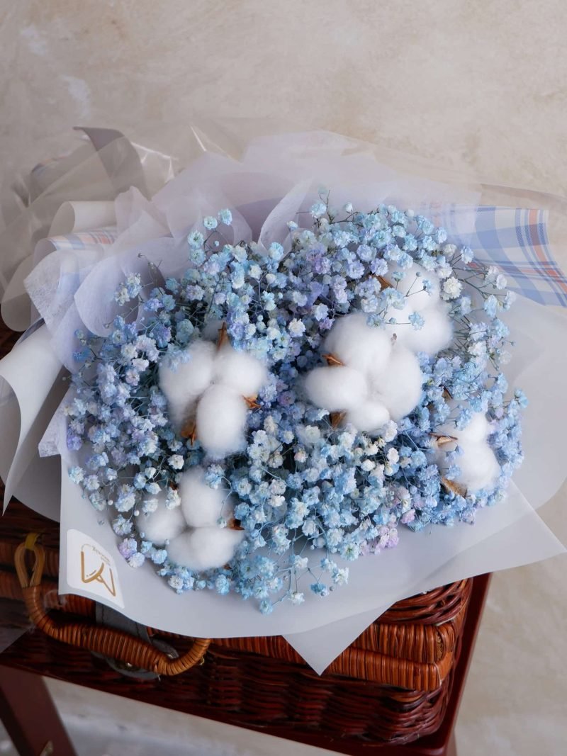 Baby Cotton – alternate view