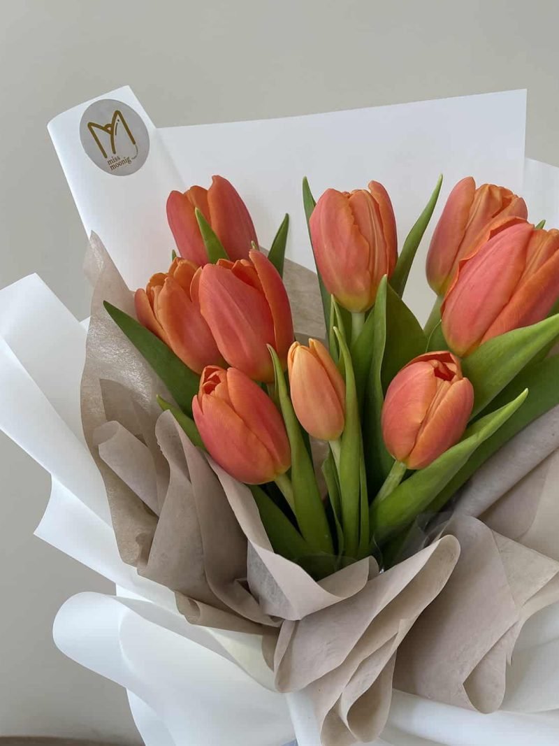 Sunny Tulips – alternate view