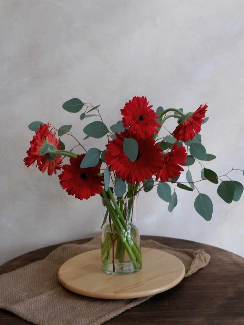 Letterbox | Red Gerbera – alternate view