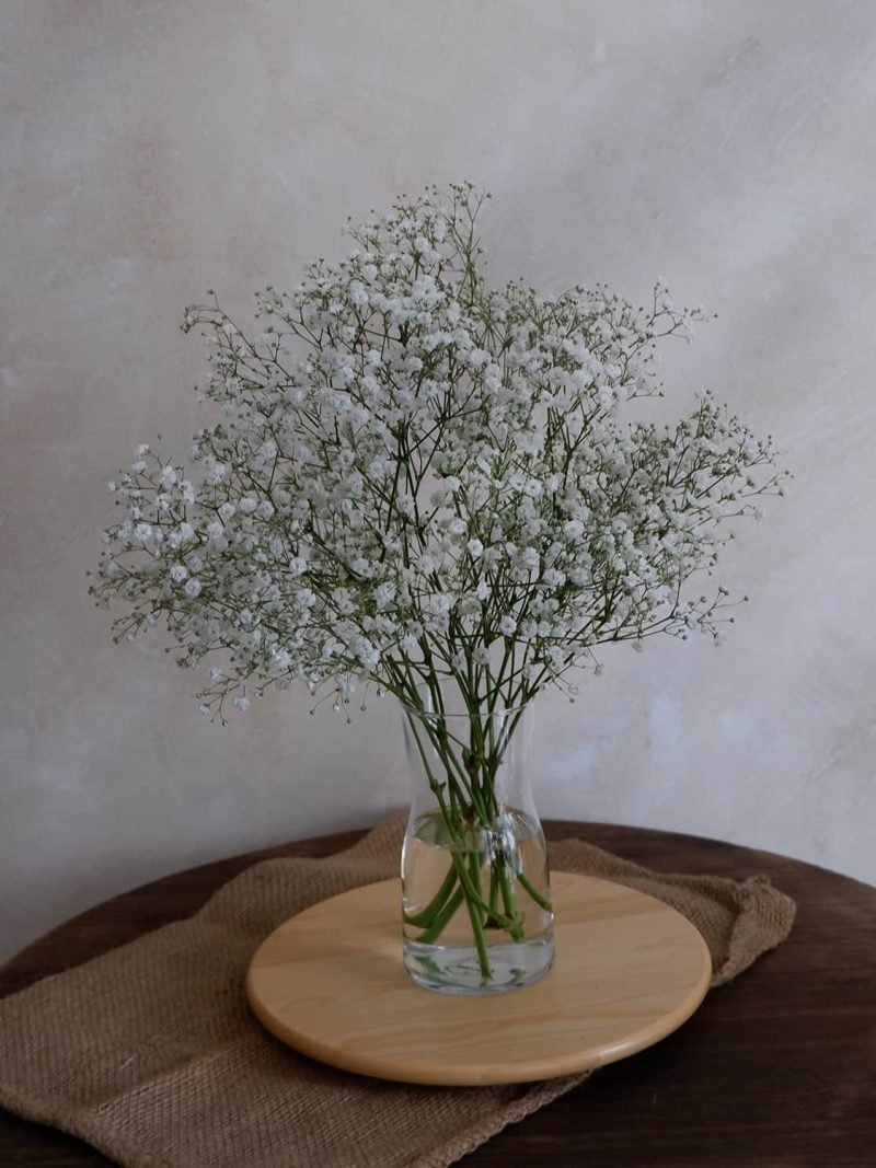 Letterbox | Baby Breath – alternate view