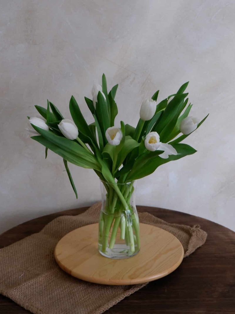 Letterbox | White Tulip – alternate view