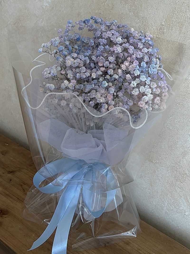 Cotton Candy Baby Breath – alternate view