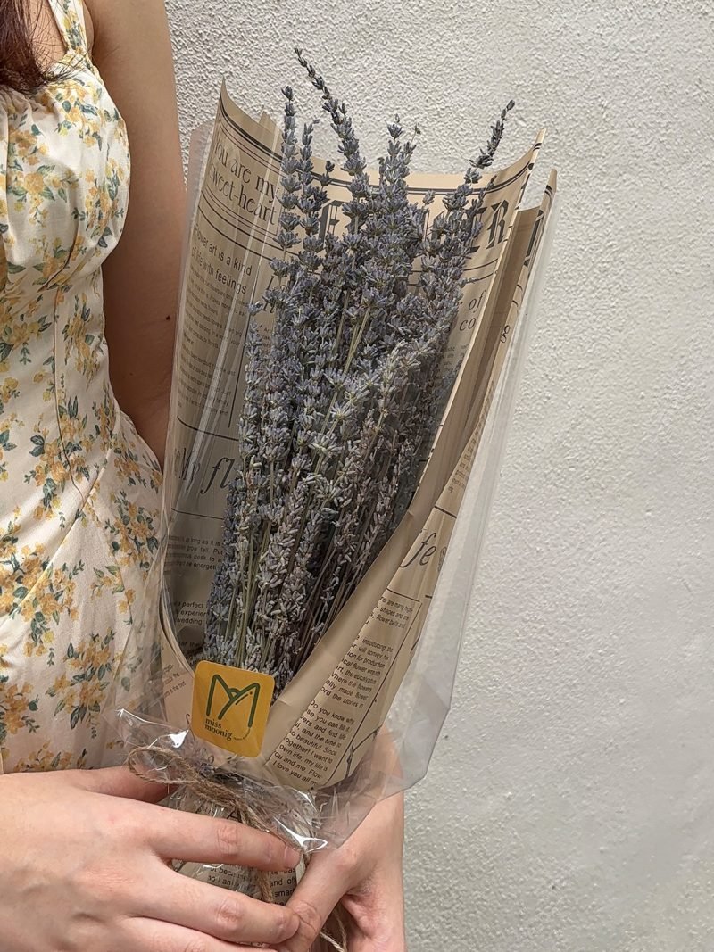 Lavender (Dried Flower) – alternate view