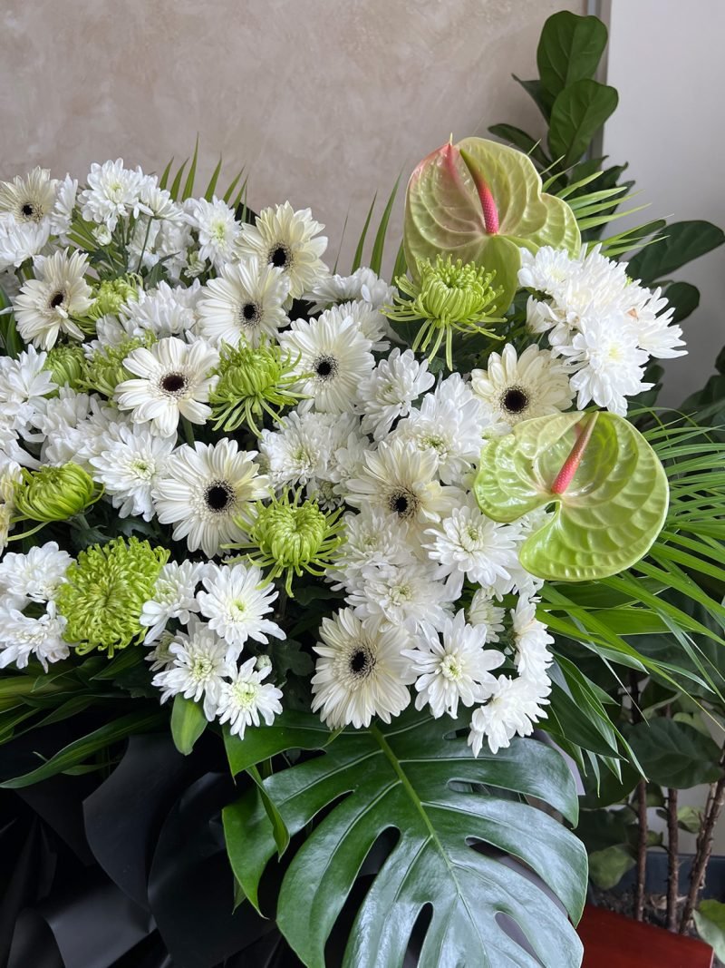 Tender Memory – alternate view