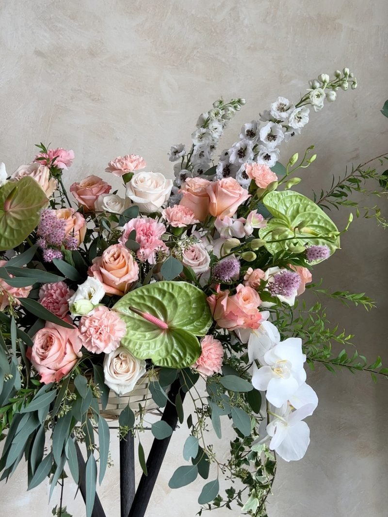 Triumphant Start – alternate view