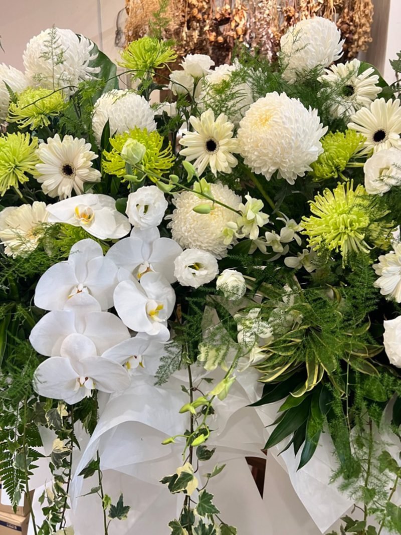 Kindhearted Memory – alternate view